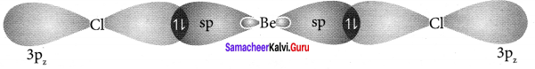 Samacheer Kalvi 11th Chemistry Solutions Chapter 10 Chemical Bonding-174