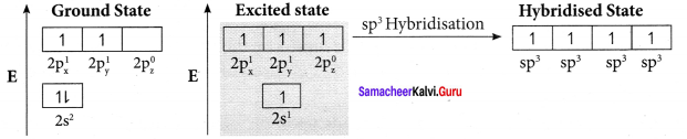 Samacheer Kalvi 11th Chemistry Solutions Chapter 10 Chemical Bonding-175