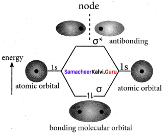 Samacheer Kalvi 11th Chemistry Solutions Chapter 10 Chemical Bonding-25