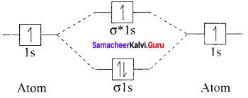 Samacheer Kalvi 11th Chemistry Solutions Chapter 10 Chemical Bonding-33
