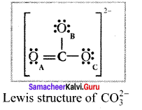 Samacheer Kalvi 11th Chemistry Solutions Chapter 10 Chemical Bonding-35