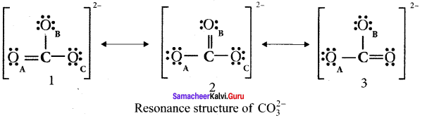 Samacheer Kalvi 11th Chemistry Solutions Chapter 10 Chemical Bonding-36