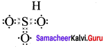 Samacheer Kalvi 11th Chemistry Solutions Chapter 10 Chemical Bonding-55