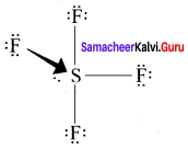 Samacheer Kalvi 11th Chemistry Solutions Chapter 10 Chemical Bonding-60
