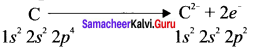 Samacheer Kalvi 11th Chemistry Solutions Chapter 10 Chemical Bonding-64
