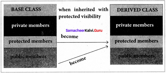 Samacheer Kalvi 11th Computer Science Solutions Chapter 16 Inheritance 2