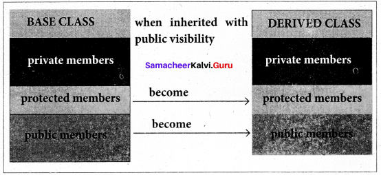 Samacheer Kalvi 11th Computer Science Solutions Chapter 16 Inheritance 3
