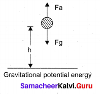Samacheer Kalvi 11th Physics Solutions Chapter 4 Work, Energy and Power 100