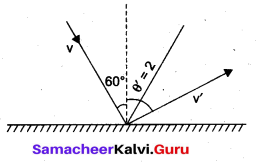 Samacheer Kalvi 11th Physics Solutions Chapter 4 Work, Energy and Power 60