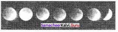 Samacheer Kalvi 11th Physics Solutions Chapter 6 Gravitation 111