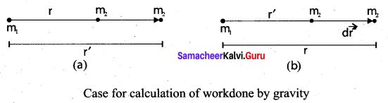 Samacheer Kalvi 11th Physics Solutions Chapter 6 Gravitation 556
