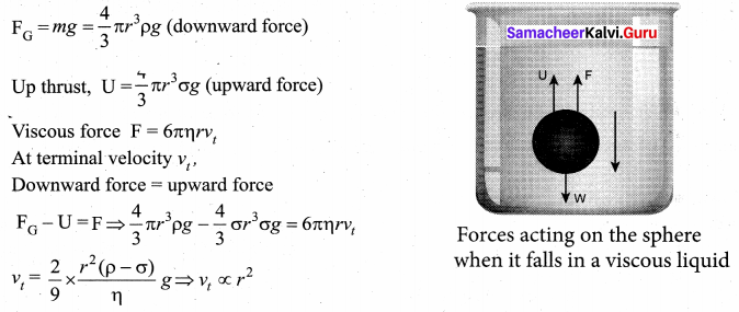Samacheer Kalvi 11th Physics Solutions Chapter 7 Properties of Matter 66
