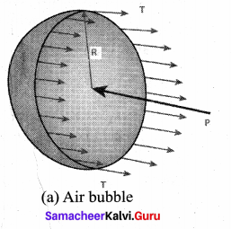 Samacheer Kalvi 11th Physics Solutions Chapter 7 Properties of Matter 71