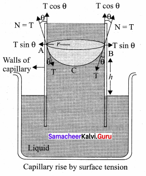 Samacheer Kalvi 11th Physics Solutions Chapter 7 Properties of Matter 77