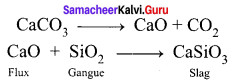 Samacheer Kalvi 12th Chemistry Solutions Chapter 1 Metallurgy img-4