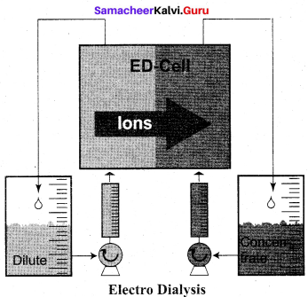 Samacheer Kalvi 12th Chemistry Solutions Chapter 10 Surface Chemistry-72