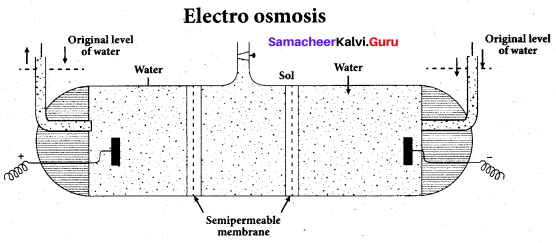 Samacheer Kalvi 12th Chemistry Solutions Chapter 10 Surface Chemistry-8