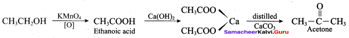Samacheer Kalvi 12th Chemistry Solutions Chapter 11 Hydroxy Compounds and Ethers-232