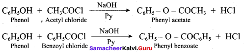 Samacheer Kalvi 12th Chemistry Solutions Chapter 11 Hydroxy Compounds and Ethers-245