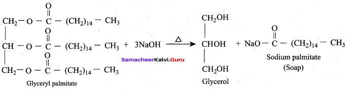 Samacheer Kalvi 12th Chemistry Solutions Chapter 11 Hydroxy Compounds and Ethers-156