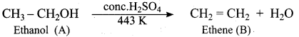Samacheer Kalvi 12th Chemistry Solutions Chapter 11 Hydroxy Compounds and Ethers-259