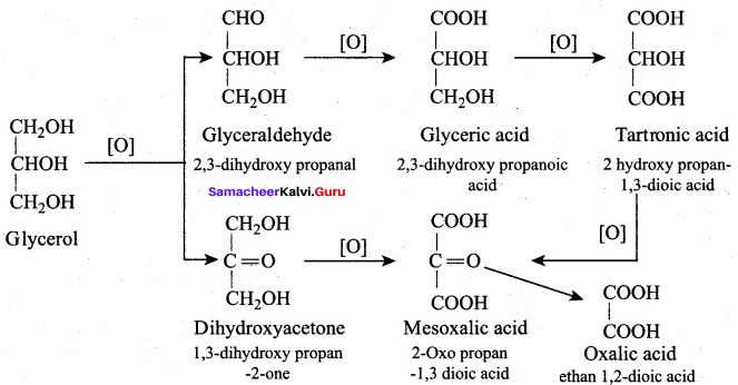 Samacheer Kalvi 12th Chemistry Solutions Chapter 11 Hydroxy Compounds and Ethers-206