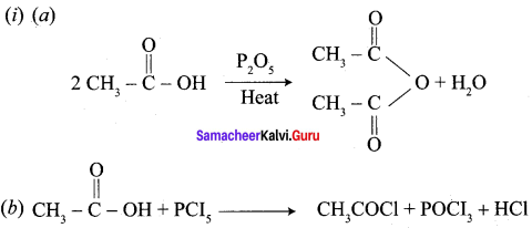 Samacheer Kalvi 12th Chemistry Solutions Chapter 12 Carbonyl Compounds and Carboxylic Acids-261