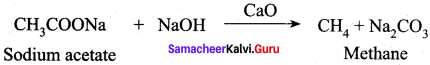 Samacheer Kalvi 12th Chemistry Solutions Chapter 12 Carbonyl Compounds and Carboxylic Acids-233