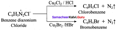 Samacheer Kalvi 12th Chemistry Solutions Chapter 13 Organic Nitrogen Compounds-137