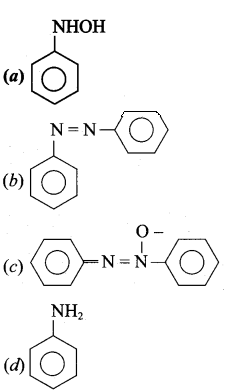 Samacheer Kalvi 12th Chemistry Solutions Chapter 13 Organic Nitrogen Compounds-229