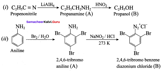 Samacheer Kalvi 12th Chemistry Solutions Chapter 13 Organic Nitrogen Compounds-161
