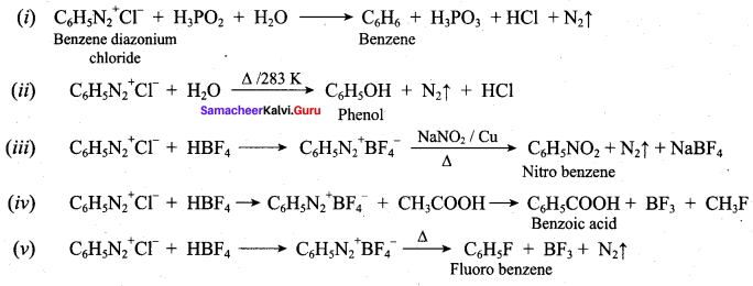 Samacheer Kalvi 12th Chemistry Solutions Chapter 13 Organic Nitrogen Compounds-176