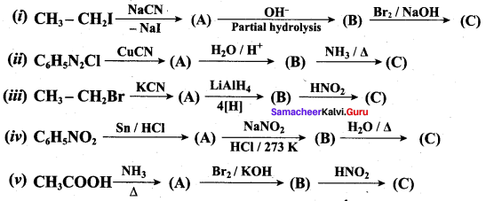 Samacheer Kalvi 12th Chemistry Solutions Chapter 13 Organic Nitrogen Compounds-183
