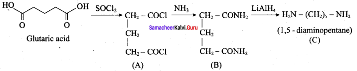 Samacheer Kalvi 12th Chemistry Solutions Chapter 13 Organic Nitrogen Compounds-78
