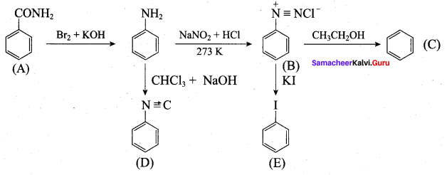 Samacheer Kalvi 12th Chemistry Solutions Chapter 13 Organic Nitrogen Compounds-188