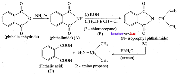 Samacheer Kalvi 12th Chemistry Solutions Chapter 13 Organic Nitrogen Compounds-84