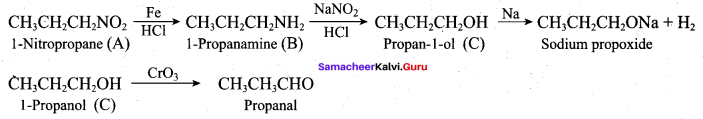 Samacheer Kalvi 12th Chemistry Solutions Chapter 13 Organic Nitrogen Compounds-190