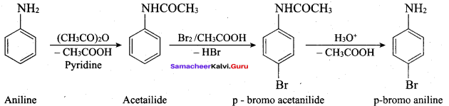 Samacheer Kalvi 12th Chemistry Solutions Chapter 13 Organic Nitrogen Compounds-279
