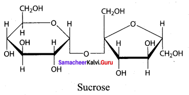 Samacheer Kalvi 12th Chemistry Solutions Chapter 14 Biomolecules-30