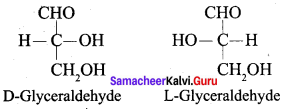 Samacheer Kalvi 12th Chemistry Solutions Chapter 14 Biomolecules-32