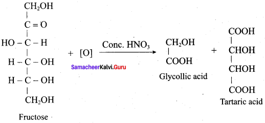 Samacheer Kalvi 12th Chemistry Solutions Chapter 14 Biomolecules-34