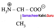 Samacheer Kalvi 12th Chemistry Solutions Chapter 14 Biomolecules-4