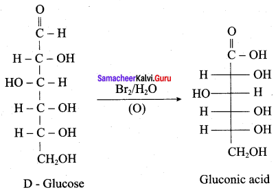 Samacheer Kalvi 12th Chemistry Solutions Chapter 14 Biomolecules-40
