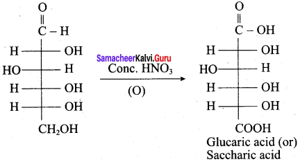 Samacheer Kalvi 12th Chemistry Solutions Chapter 14 Biomolecules-41