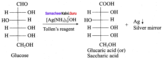 Samacheer Kalvi 12th Chemistry Solutions Chapter 14 Biomolecules-42