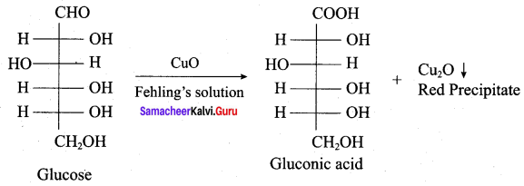 Samacheer Kalvi 12th Chemistry Solutions Chapter 14 Biomolecules-43