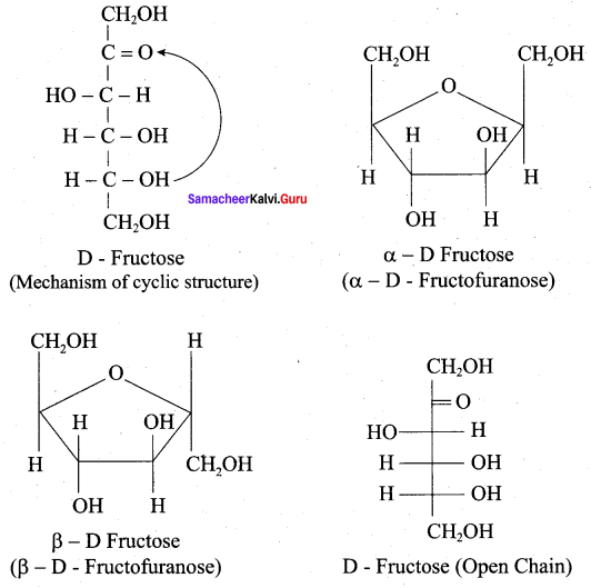 Samacheer Kalvi 12th Chemistry Solutions Chapter 14 Biomolecules-48