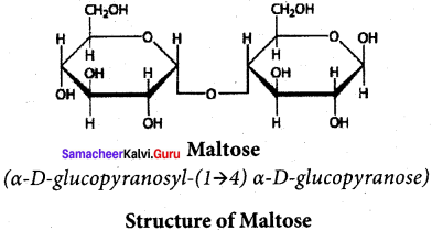Samacheer Kalvi 12th Chemistry Solutions Chapter 14 Biomolecules-51