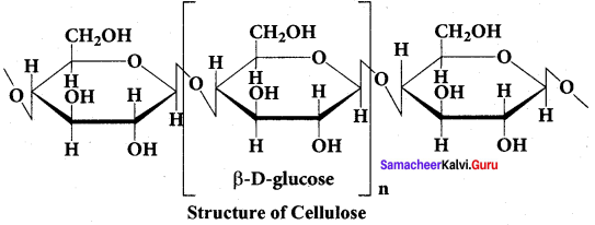 Samacheer Kalvi 12th Chemistry Solutions Chapter 14 Biomolecules-52