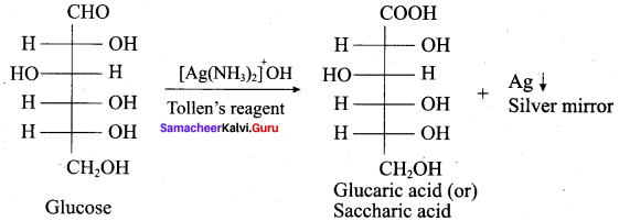 Samacheer Kalvi 12th Chemistry Solutions Chapter 14 Biomolecules-63